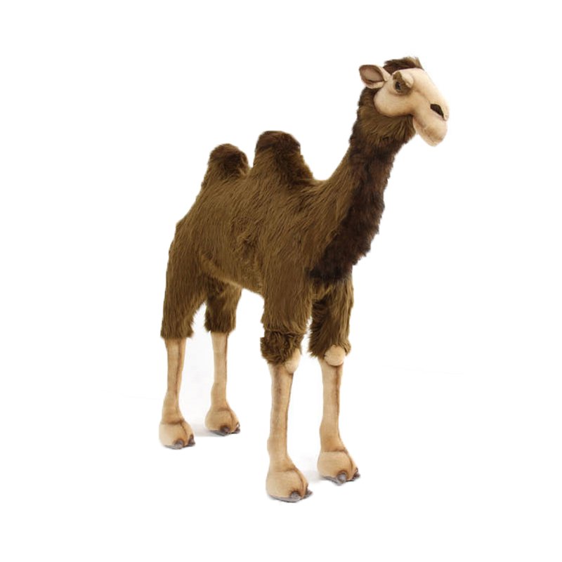 best_product_image