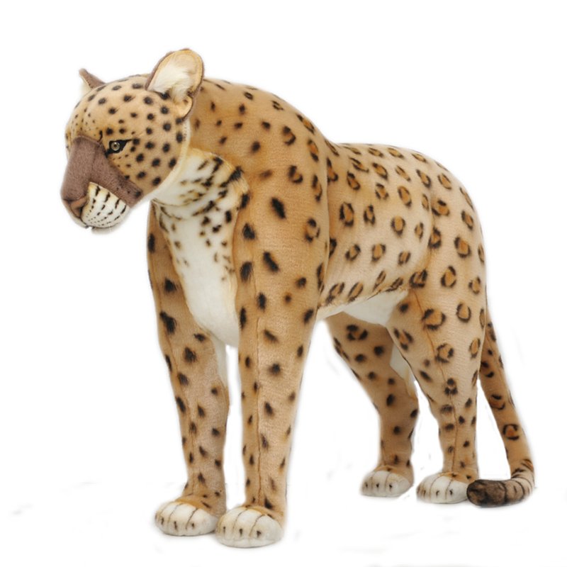 best_product_image