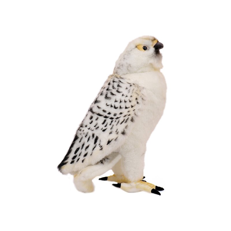 image_slider_img