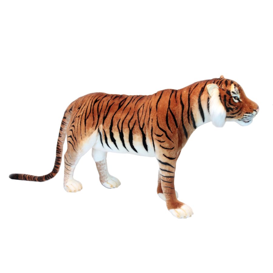 image_slider_img