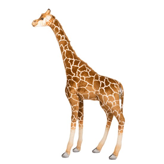best_product_image