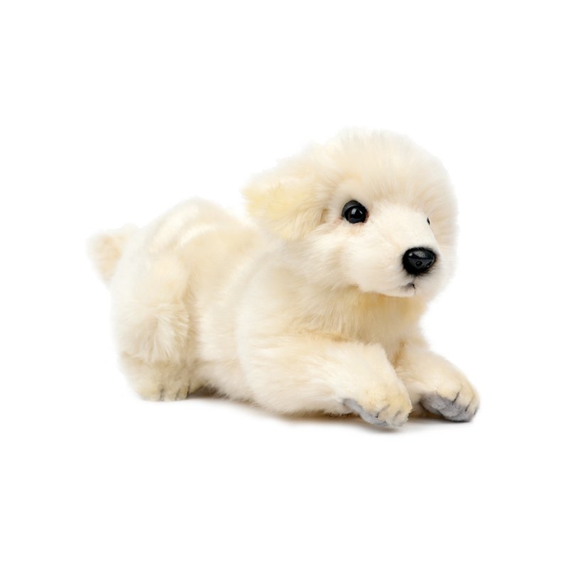 image_slider_img