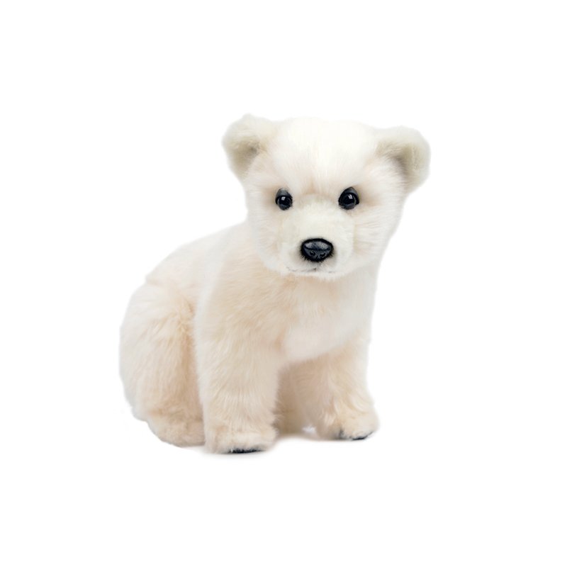 image_slider_img