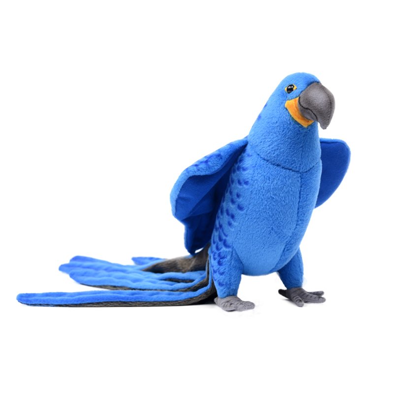image_slider_img
