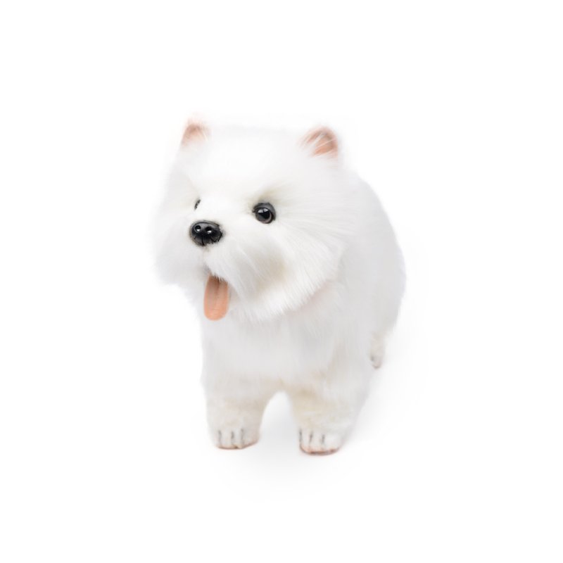 image_slider_img