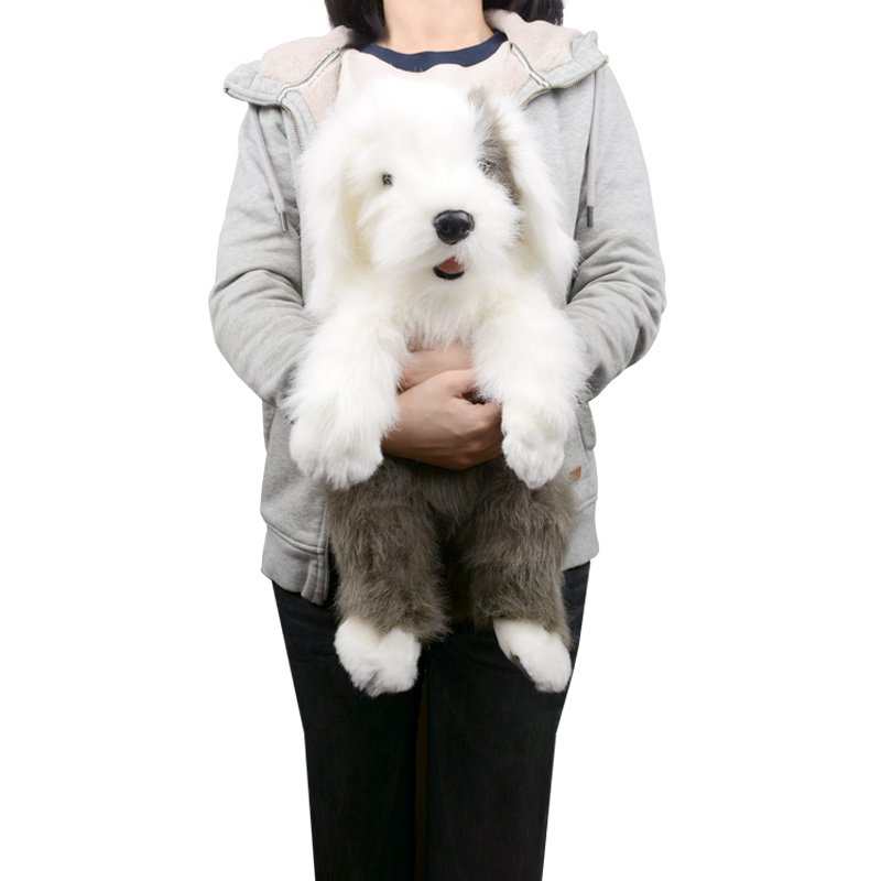 image_slider_img