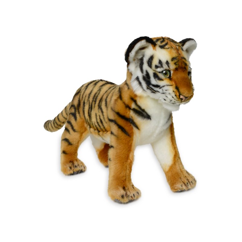 image_slider_img
