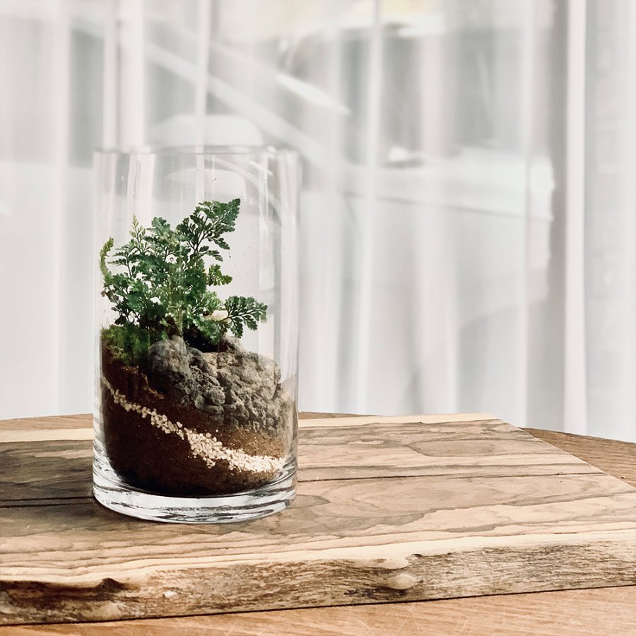 image_slider_img