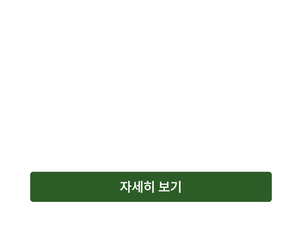helloSummer_promotion_bg2